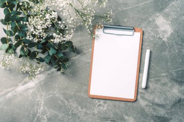 Kağıt boş, pano, kalem, okaliptüs dalları, mermer arka planda çingene çiçekleri. Düz yerde, üst tarafta. Uzayı kopyala Blogcu, kadınsı iş konsepti. Kadınsı çalışma alanı.