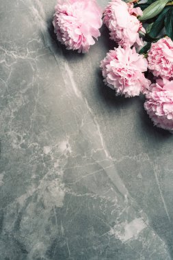 Çiçek desenli, pembe şakayıklardan yapılmış mermer arka plan. Düz yerde, üst tarafta. Uzayı kopyala Sevgililer Günü geçmişi. Düğün, doğum günü, yıldönümü buketi. Kadın günü, Anneler günü.