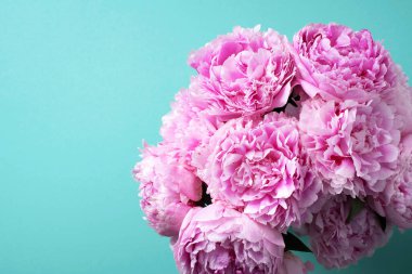 Mavi arka planda pembe şakayık çiçeği. Uzayı kopyala Çiçek kompozisyonu. Düğün, doğum günü, yıldönümü buketi. Kadınlar günü, anneler günü. Şakayık çiçekleri..