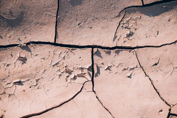 Water crisis. Cracked earth. Global warming problem. Dry land ground. Desert concept. Cracked soil caused by dehydration