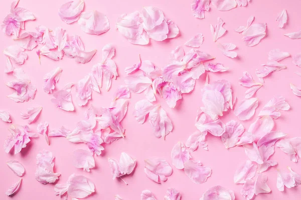 Pink background with peony petals. Top view. Floral print. Abstract blooming texture. Spring concept.