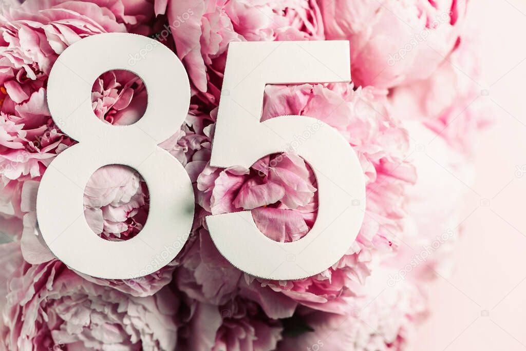 Peony flowers, digit eighty-five. Birthday greeting card with inscription 85. Anniversary concept. Top view. White numeral on flower background. Numerical digit, Celebration event, template, flyer.