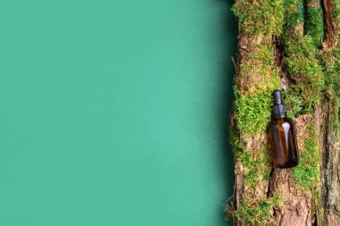 Yeşil arka planda etiketsiz kozmetik şişesi dalların üzerinde doğal yosun, ağaç kabuğu. Cilt bakımı, organik vücut bakımı, spa konsepti. Vegan çevre dostu kozmetoloji ürünü. Organik Kozmetik