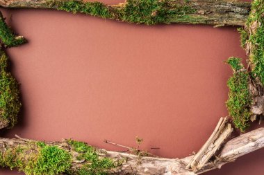 Kahverengi arka planda yeşil orman yosunu. Üst Manzara. Uzayı kopyala Doğal ekolojik model. Ağaç kabuğundan yapılmış doğal düzen, doğal nesneler. Doğa detayları koleksiyonu.