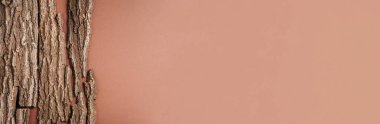 Kabuk ağacı olan yaratıcı kompozisyon, organik kozmetik ürünler için kahverengi arka planda ahşap doku. Üst Manzara. Uzayı kopyala Çevre dostu doğa kavramı.