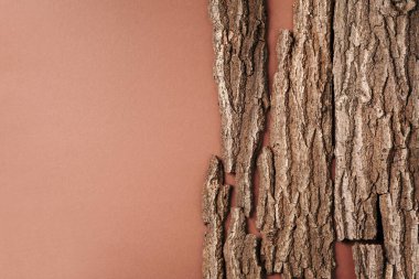 Kabuk ağacı olan yaratıcı kompozisyon, organik kozmetik ürünler için kahverengi arka planda ahşap doku. Üst Manzara. Uzayı kopyala Çevre dostu doğa kavramı.