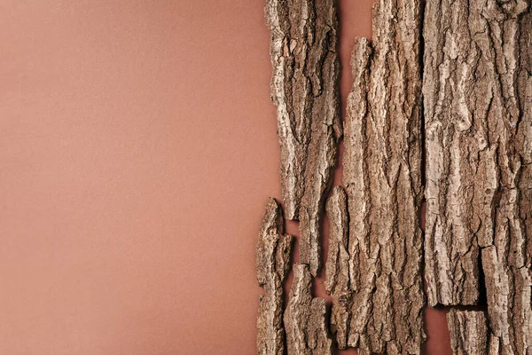 Kabuk ağacı olan yaratıcı kompozisyon, organik kozmetik ürünler için kahverengi arka planda ahşap doku. Üst Manzara. Uzayı kopyala Çevre dostu doğa kavramı.