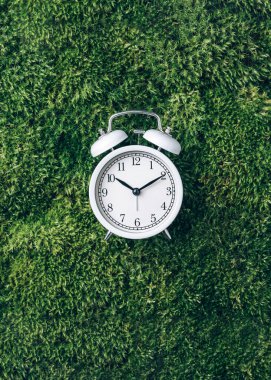 Yeşil çimenlikteki çalar saat, yosun arkaplan. Üst Manzara. Uzayı kopyala Uyku ekolojisi.