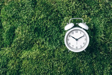 Yeşil çimenlikteki çalar saat, yosun arkaplan. Üst Manzara. Uzayı kopyala Uyku ekolojisi.