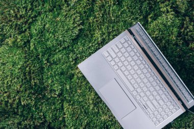 Farkındalık, biyofilik tasarım, fişi çekme konsepti. Bilgisayar, yeşil çimlerin üzerinde dizüstü bilgisayar klavyesi, yosun ormanı geçmişi. Üst Manzara. Dijital detoks. Yaz ofisi, tatilde çalışmak, serbest çalışma kavramı..
