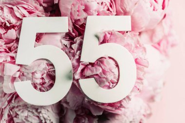Şakayık çiçekleri, doksan beş haneli. 55 numaralı yazıyla birlikte doğum günü tebrik kartı. Yıldönümü konsepti. Üst Manzara. Çiçek arka planında beyaz numara. Sayısal rakam, kutlama olayı, şablon, broşür.