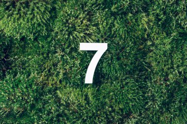 Ecology, zero waste. Green grass and digit seven 7. Birthday greeting card. Anniversary concept. Top view. Copy space. White numeral over eco moss background. Numerical digit