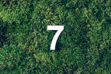 Ecology, zero waste. Green grass and digit seven 7. Birthday greeting card. Anniversary concept. Top view. Copy space. White numeral over eco moss background. Numerical digit clipart