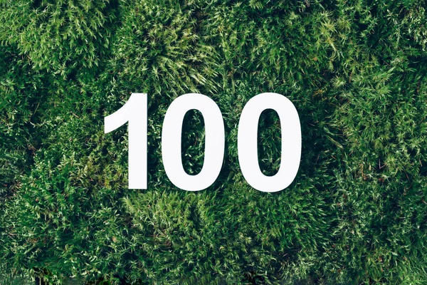 Green grass, digit one hundred. Birthday greeting card with inscription 100. Anniversary concept. Top view. White numeral on eco moss background. Numerical digit, Celebration event, template, flyer.