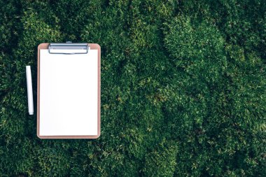 Notepad, pencil on green grass, moss background. Copy space. Top view. Office mock up, remote job. Wild nature, ecology concept. Summer forest. Sustainable, organic, zero waste lifestyle.