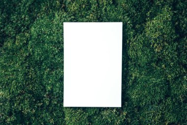 Creative layout made of square card note on green grass, moss background. Top view. Copy space. Advertising card, invitation. Wild nature, ecology concept. Sustainable, organic, zero waste lifestyle.