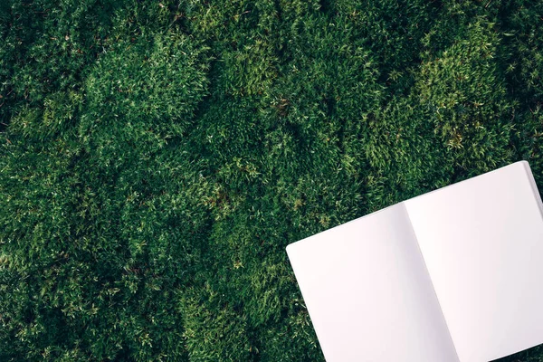 Craft notebook, white sketch book on fresh spring green grass, moss background. Copy space. Top view. Wild nature, ecology concept. Summer forest. Sustainable, organic, zero waste lifestyle.
