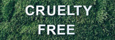 Yazıtlara göre zalimlik yosunsuz, yeşil çimen arka planda. Üst Manzara. Uzayı kopyala Pankart. Biyofili konsepti. Doğa zemin.