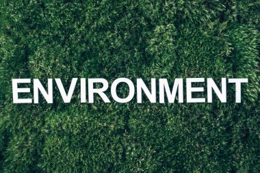 Yosun üzerine kelime ortamı, yeşil çimen arka planı. Üst Manzara. Uzayı kopyala Pankart. Biyofili konsepti. Doğa zemin.