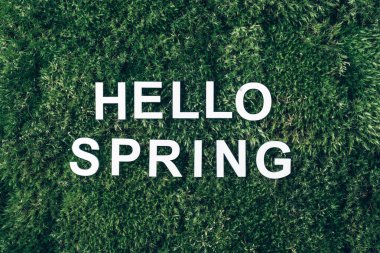 Yosun ve yeşil çimen arkaplanındaki merhaba yazısı. Üst Manzara. Uzayı kopyala Pankart. Biyofili konsepti. Doğa zemin.