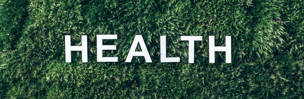 Word Health on moss, green grass background. Top view. Copy space. Banner. Biophilia trend. Nature backdrop. Mental Health concept.