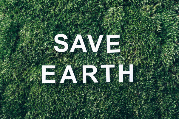 Надпись Save earth on moss, green grass background. Вид сверху. Принято. Баннер. Биофилия концепция. Фон природы.