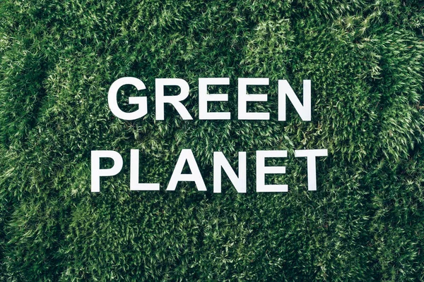 Inscription Green planet on moss, green grass background. Top view. Copy space. Banner. Biophilia concept. Nature backdrop.