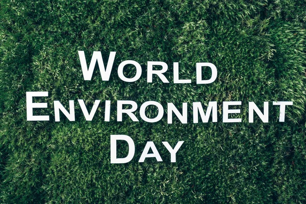 Inscription World environment day on moss, green grass background. Top view. Copy space. Banner. Biophilia concept. Nature backdrop. June 5th - World environment day concept