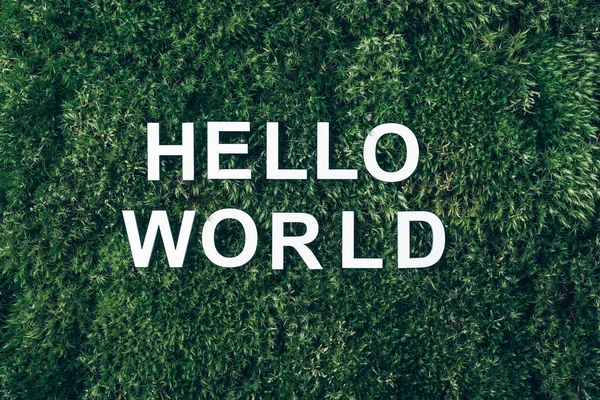 Inscription Hello world on moss, green grass background. Top view. Copy space. Banner. Biophilia concept. Nature backdrop.