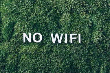 Yosun hakkında kablosuz internet, yeşil çimen geçmişi. Üst Manzara. Uzayı kopyala Pankart. Biyofili tasarımı. Doğa arkaplanı. Zihinsel resetleme, dijital detoks. Fişi çekmek, çevrimdışı, farkındalık kavramı