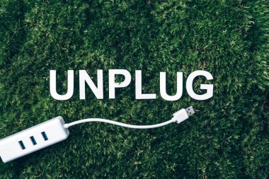 Word Unplug, beyaz internet usb adaptörü yosun, yeşil çimen arka planı. Üst Manzara. Uzayı kopyala Pankart. Biyofili konsepti. Doğa zemin.
