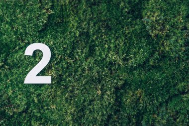 Ecology, zero waste. Green grass and digit two 2. Birthday greeting card. Anniversary concept. Top view. Copy space. White numeral over eco moss background. Numerical digit