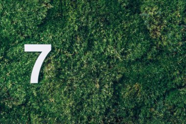Ecology, zero waste. Green grass and digit seven 7. Birthday greeting card. Anniversary concept. Top view. Copy space. White numeral over eco moss background. Numerical digit