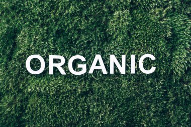 Yosun üzerine kelime organiği, yeşil çimen geçmişi. Üst Manzara. Uzayı kopyala Pankart. Biyofili konsepti. Doğa arkaplanı. Sağlıklı beslenme, çevre dostu yaşam tarzı