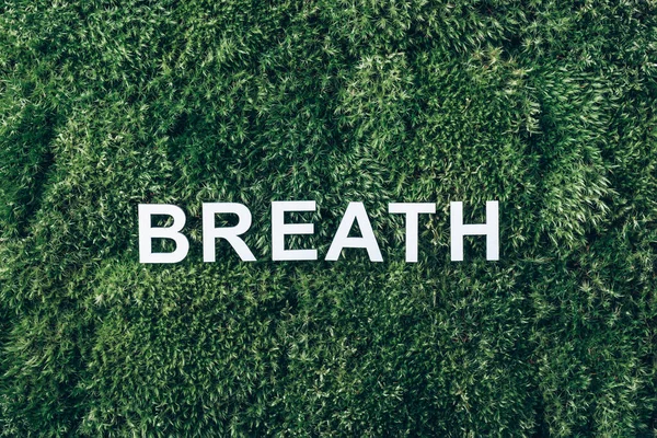 Word Breath on moss, green grass background. Top view. Copy space. Banner. Biophilia trend. Nature backdrop. Peace of Mind, health concept. Take a deep breath. Health, wellness concept.