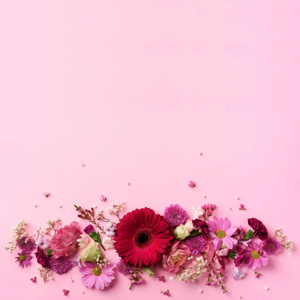 Spring composition of pink flowers on punchy pastel background with copy space. Creative layout. Flat lay. Top view. Summer minimal concept. — Stock Photo, Image