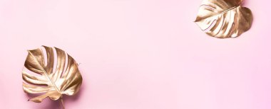 Pembe arka planda kopyalanmış altın tropikal canavar yaprağı. Üst Manzara. Düz yatıyordu. Yaratıcı düzen. Minimum stilde egzotik yaz konsepti