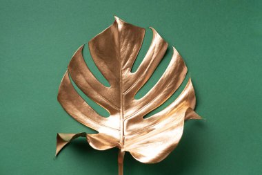 En az düzeyde egzotik yaz trendi. Pastel yeşil arka planda altın tropikal palmiye yaprağı. Parlak ve ışıltılı tasarım, moda konsepti.