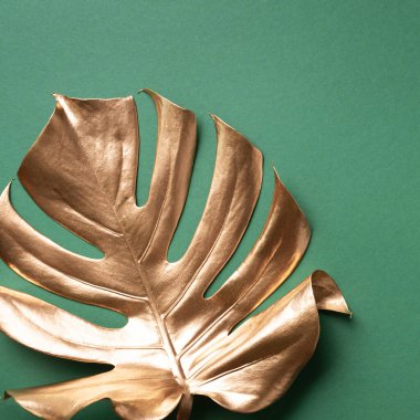 En az düzeyde egzotik yaz trendi. Pastel yeşil arka planda altın tropikal palmiye yaprağı. Parlak ve ışıltılı tasarım, moda konsepti.