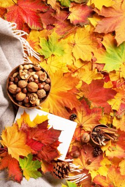 Okuma zamanı. Sonbahar yatağı. Beyaz kitap, ahşap fındık, kahve fincanı, koni, bej ekose ve renkli sonbahar yapraklarının üzerine tarçın. Hygge ve rahat hayat.