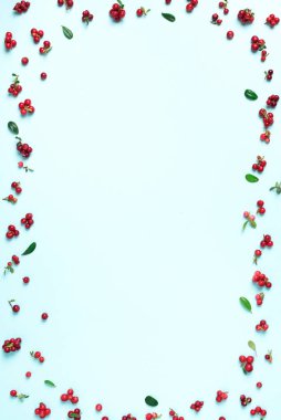 Mavi arka planda yabanmersini deseni. Üst Manzara. Yaz çileği dokusu.