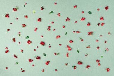 Wild lingonberry pattern on green background. Top view. Summer berries texture. clipart