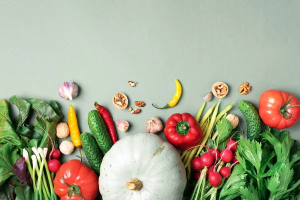 Dieta vegana y vegetariana, concepto de cosecha. Verduras de otoño sobre fondo verde. Vista superior. Ingredientes para cocinar: calabaza, tomate, pepino, pimienta, remolacha, apio, ajo, rábano — Foto de Stock