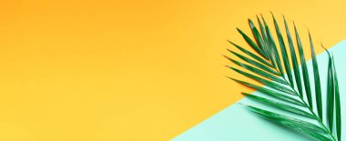 Sarı ve yeşil arka planda palmiye yaprağı. Üst Manzara. Uzayı kopyala Moda minimalizmi. Yaz konsepti