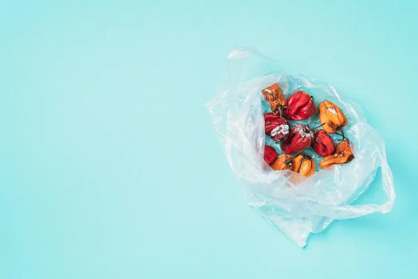 Moldy and wrinkled rotten peppers in plastic bag on blue background. Concept of unhealthy, decompose, spoiled vegetables. Garbage dump rotten food. Top view. Copy space. Waste concept. Store packets