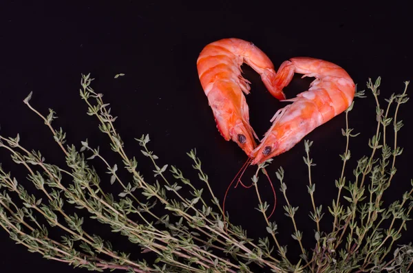 Two shrimps forming a heart with rosemary — Stock Photo, Image