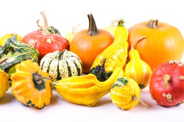 Siyah bir zemin üzerine küçük dekor kabaklar.