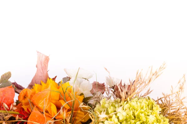 Bouquet autunnale. Fiori secchi e uva spina mantello su bianco — Foto Stock