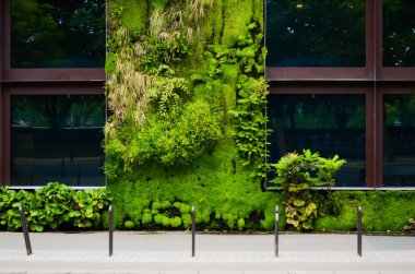 Branly Müze Paris, Fransa. Yeşil duvar