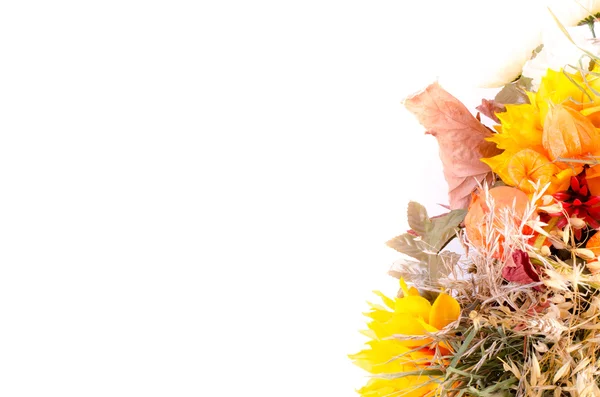 Sonbahar buket. Kuru çiçekler ve beyaz üzerine cape bektaşi üzümü — Stok fotoğraf